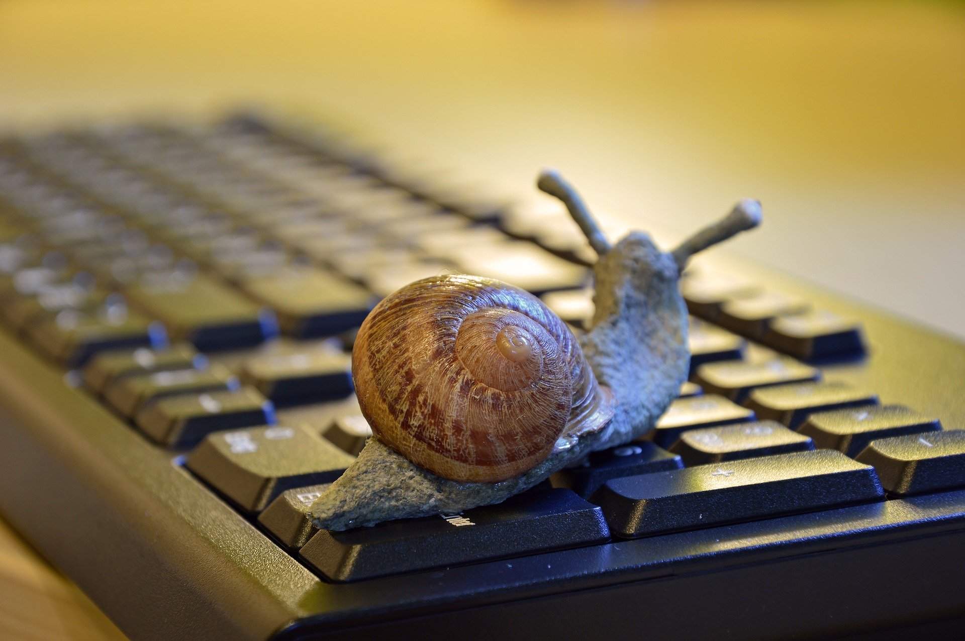 SAP-Systemhistorie bremst Weiterentwicklung SAP-Systemhistorie bremst Weiterentwicklung