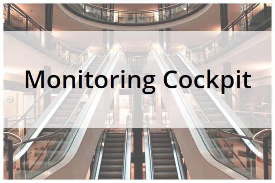 Monitoring der SAP-Nutzung in einem Management Cockpit